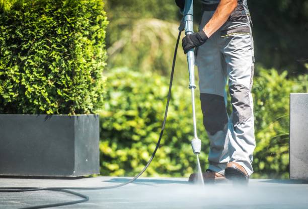 Best Animal Enclosure Cleaning  in Ofallon, MO