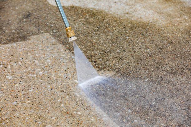 Best Roof Washing  in Ofallon, MO
